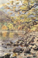 Lakeside Peace Lakeside Peace