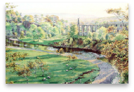 Autumn Splendour, Bolton Abbey, North Yorkshire by Graham Carver