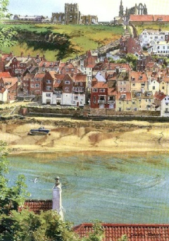 Clear Morning Clear Morning